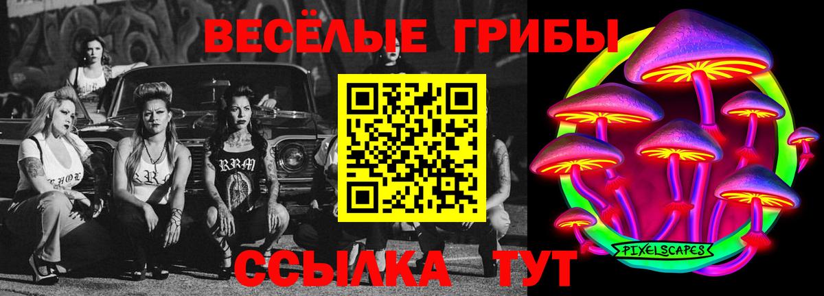 Майский  Псилоцибиновые грибы Magic Shrooms  Вход с VPN 